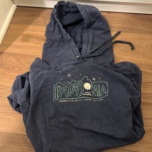 Patagonia hooded sweatshirt